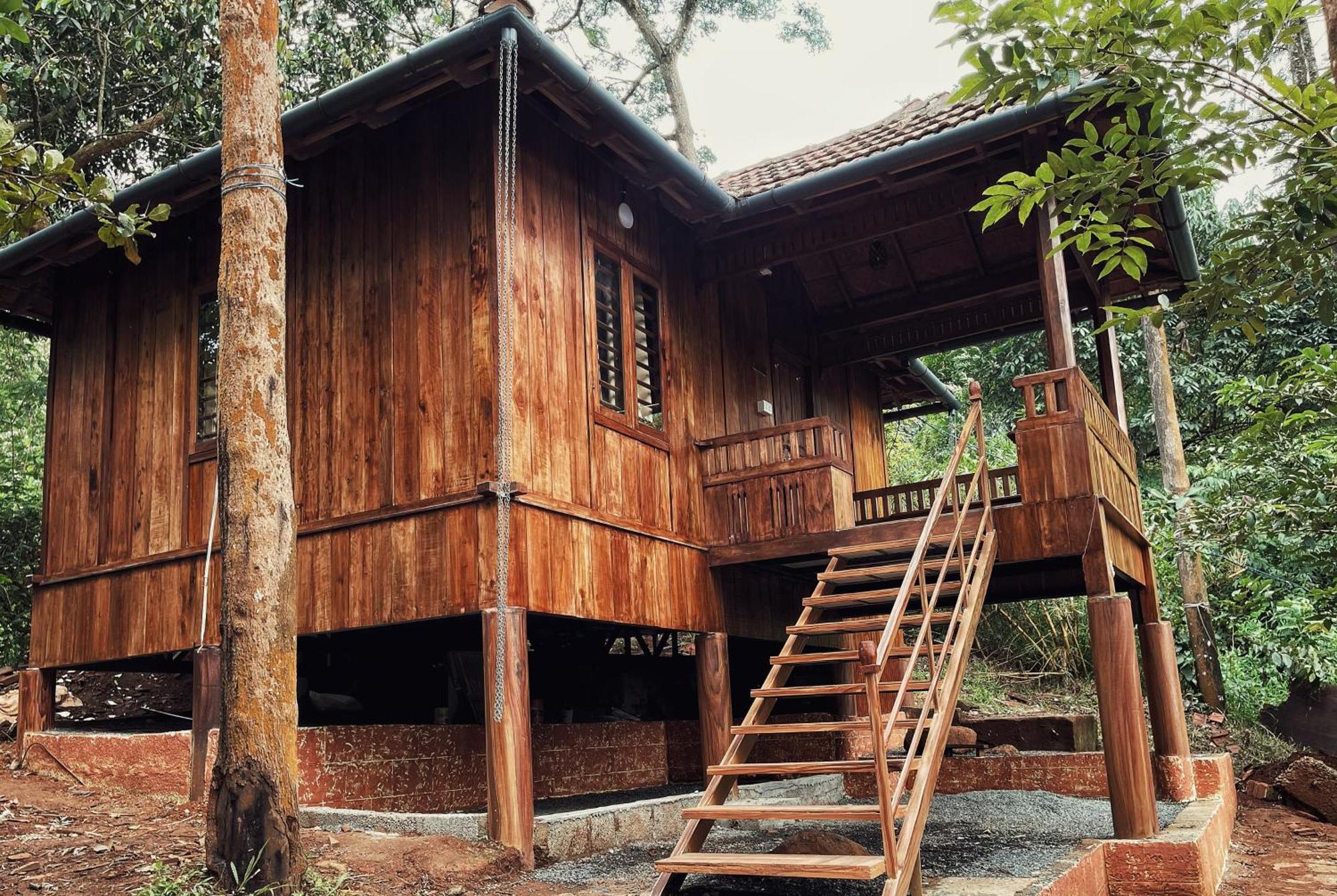 Mahout Resort Wayanad - An Experiential Jungle Stay With Waterfall Kalpatta Exterior foto